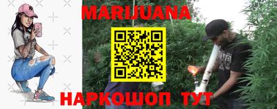 шишки Донской
