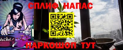 шишки Донской