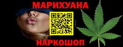 шишки Донской