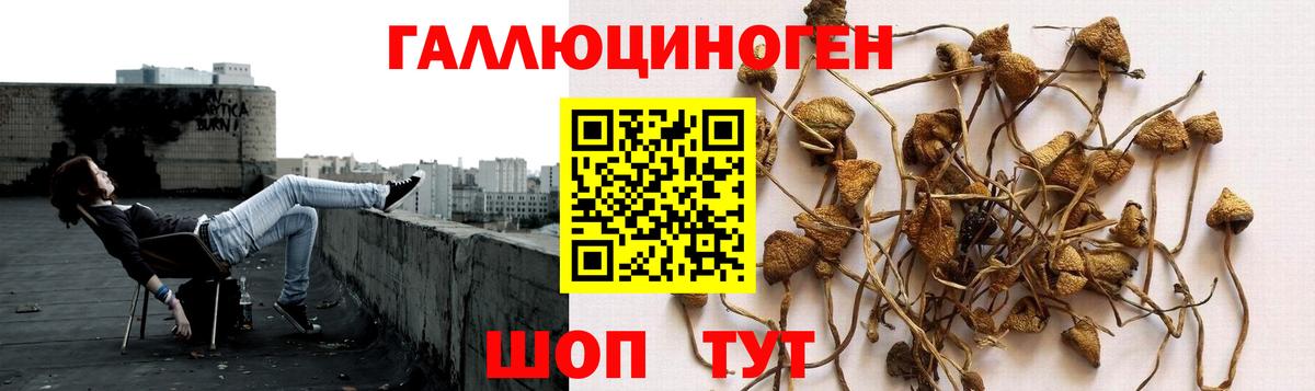 Псилоцибиновые грибы Magic Shrooms Кореновск